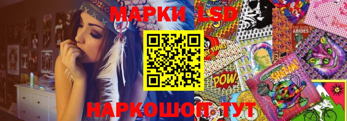   как зайти  ЛСД экстази кислота  Вход с VPN  Лсд 25 экстази ecstasy  Бердск 
