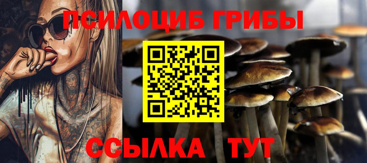 Галлюциногенные грибы Psilocybine cubensis  Галлюциногенные грибы прущие грибы  Вход с VPN  Бердск 